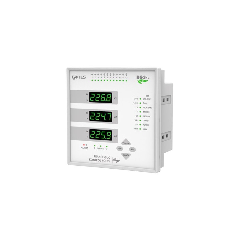 RG3-12e Power Factor Controllers