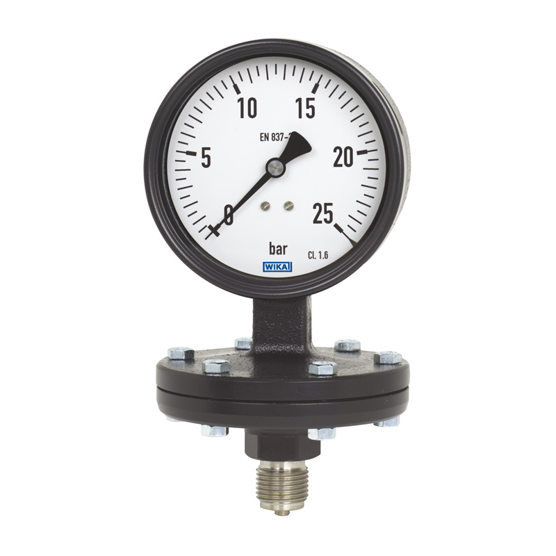 Models 422.12, 423.12 Diaphragm pressure gauge