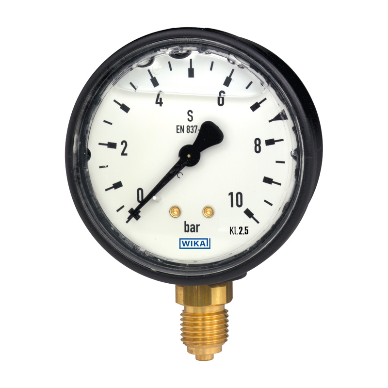 Model 113.13 Hydraulic pressure gauge