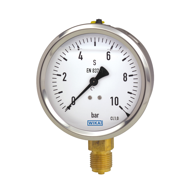 Model 213.53 Liquid filled gauge