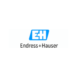 ENDRESS HAUSER